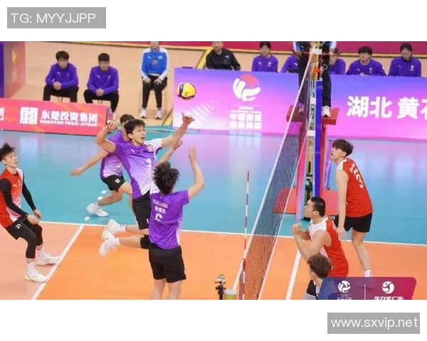 辽宁男排迎战四川队期待强强对决争夺排球赛场荣耀